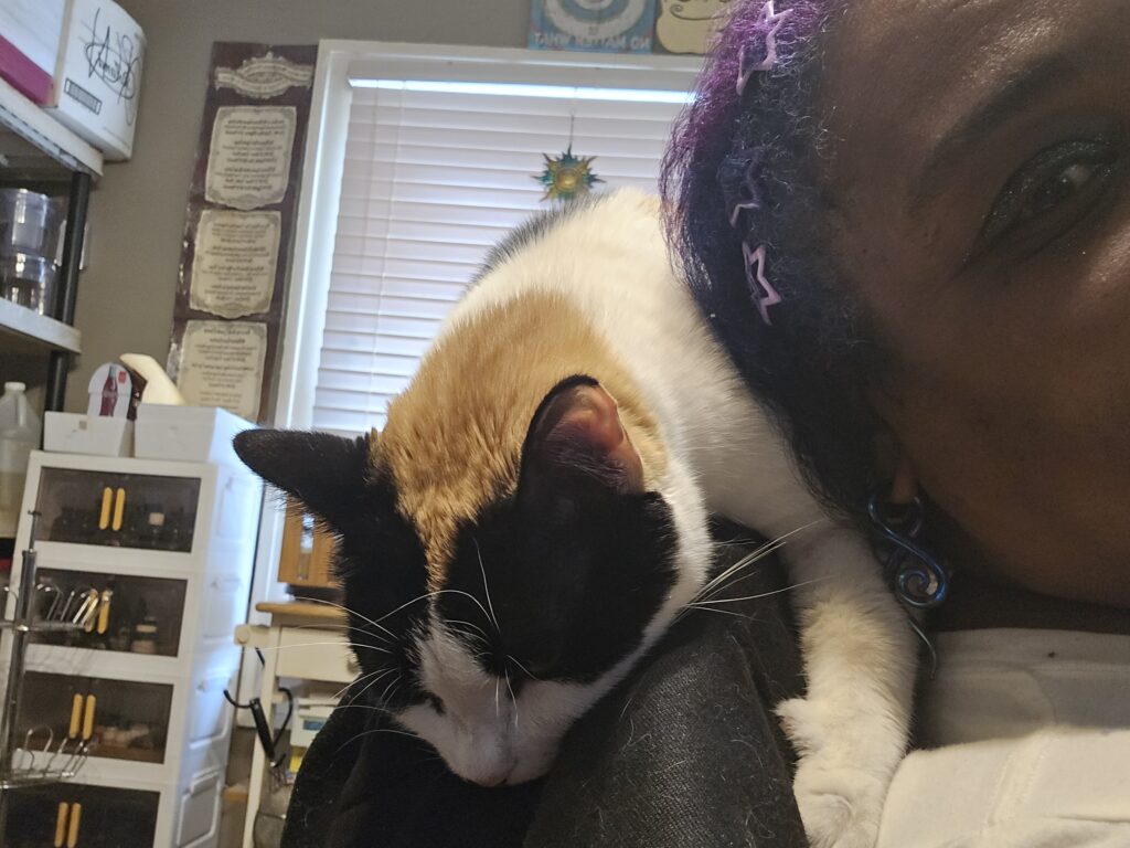Mommy's medical support cat.